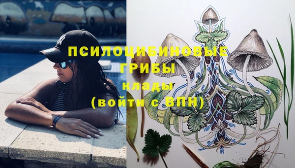 синтетический гашиш Новодвинск