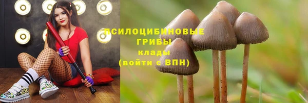 mdpv Новозыбков