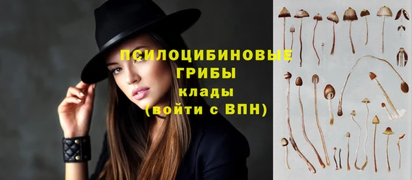 mdpv Новозыбков