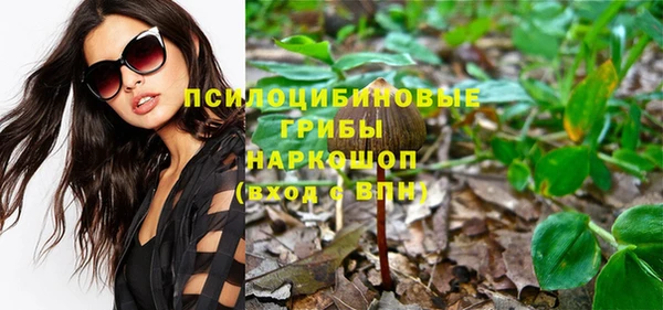 mdpv Новозыбков