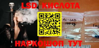 PSILOCYBIN Пугачёв