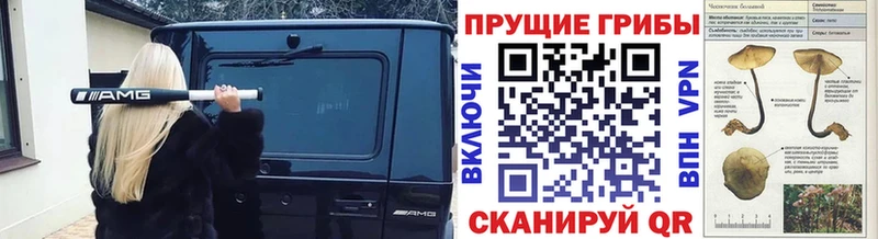 Псилоцибиновые грибы Magic Shrooms  Скопин 