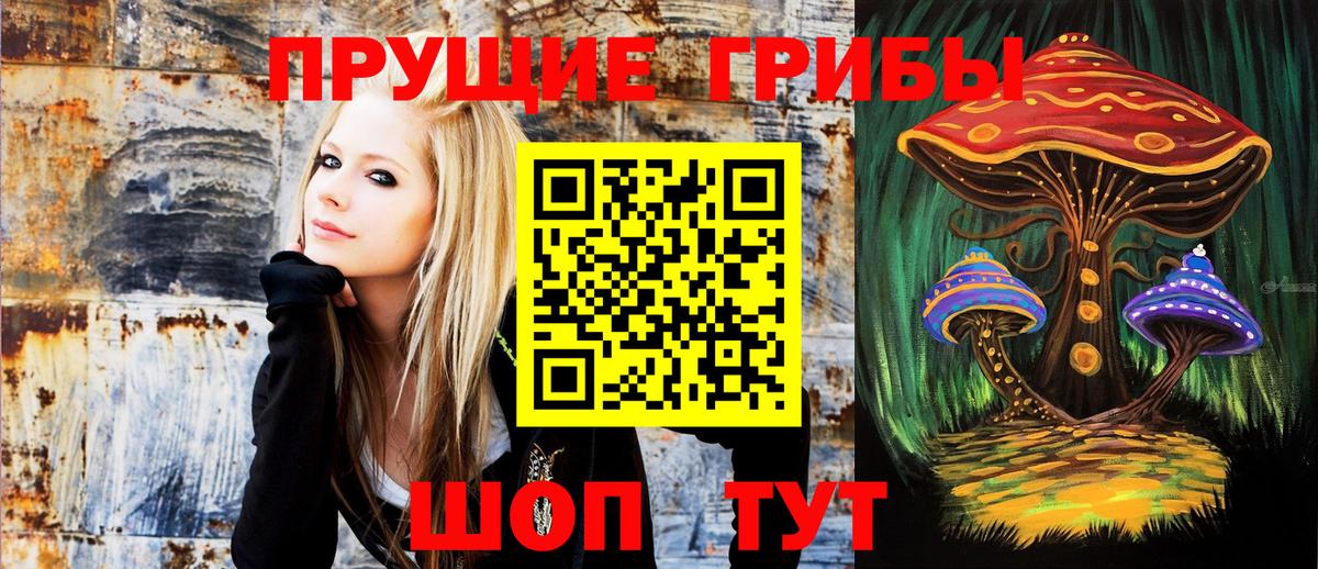 Псилоцибиновые грибы Psilocybe Скопин