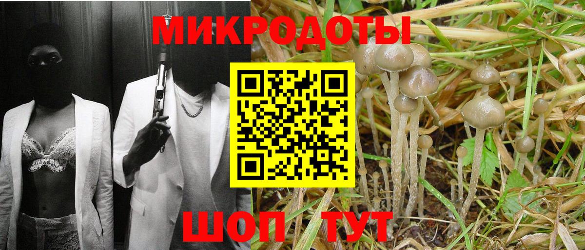 Скопин  Галлюциногенные грибы MAGIC MUSHROOMS  Псилоцибиновые грибы MAGIC MUSHROOMS  Вход с VPN 
